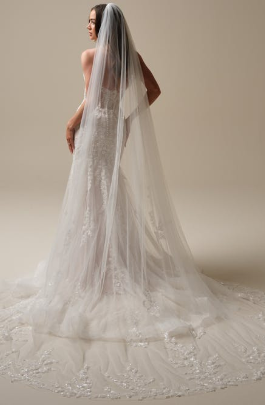 model is wearing a fit and flare wedding gown with a veil