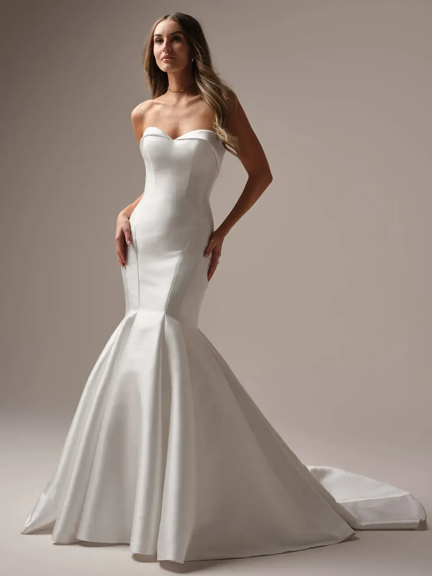 Find Your Perfect Dress for Less at Blu Rayne Bridal’s Spring Sample Sale. Desktop Image