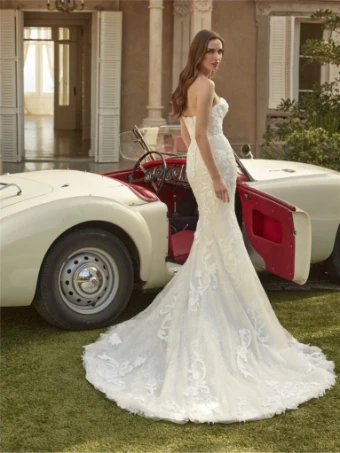 House of St. Patrick Navya #1 thumbnail