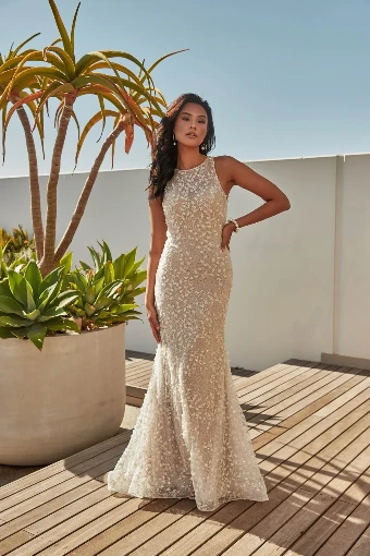 Zavana Bridal - Sale ZV8333 #0 Ivory/Nude thumbnail